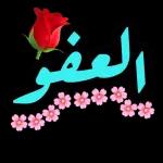 شوشو ٦٦