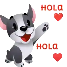 HOLA HOLA!!