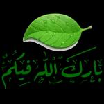 صباح العسل