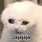 Jajajaja