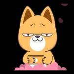 好想兔-愛拼才可愛