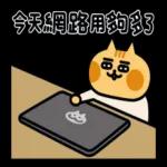 就是醬子喵-貓貓來襲