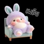 พิกกี้บูบี้น่ารักมาก