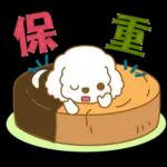 白貴賓犬表情包