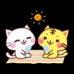 會動的♪ 喵喵團【夏季篇】