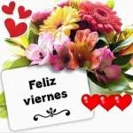 3DIAS SEMANA/FIN SEMANA03