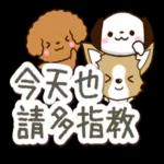 嘰嘰喳喳的狗狗們 1