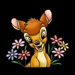 Bambi❤️❤️❤️