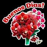 Mil bendiciones