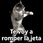 me quedé como watefac