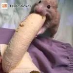 @paraguayita_01 No me importa