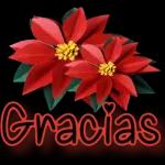 ¡GRACIAS!