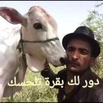 الله
يرضي
عليك