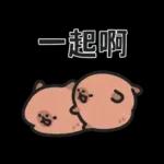 小水豚（諧音梗篇）