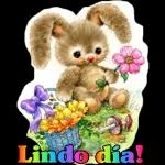 lindo domingo