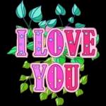 my love for you