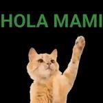 lo mejor de lo mejor