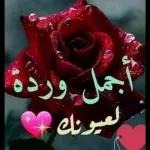 بعد قلبي