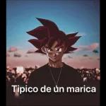goku 122