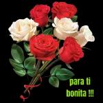 Te amo Gracias por tenerme paciencia