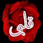 ميدوm