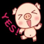 萌宠sticker 01291🥰