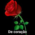 obrigada❤️🌹