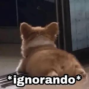 8agnr9e