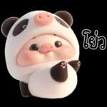 หมูแพนด้าน่ารักจังเลย