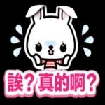 小兔子3D貼紙:很可愛哦
