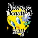 morning wish