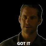 The Fast and the Furious