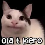 teriz Dia