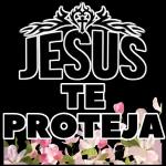 stickers 24
