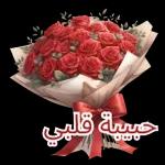 اللغه العربيه