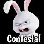 plantilla