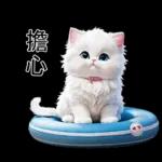 白色的貓尤其可愛
