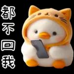 湯圓鴨5：貓貓頭套