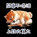 醉酒柴柴✩一醉方休