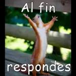 Vi lo que Borraste