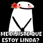 ¿ME DIJISTE QUE ESTOY LINDA?