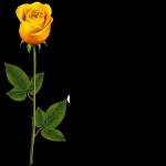 my endless love ❤️ 