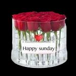 happy sunday