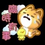 閃亮的日子=椪柑=
