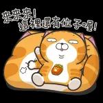 白爛貓11☆超級萌☆