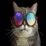 ?
剛剛睡醒 什麼事