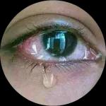 أنتسترسعادتي3