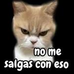 No me salgas con eso
