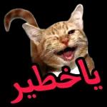 الله يسعد
قلبهك