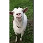 wie süß 🥰 